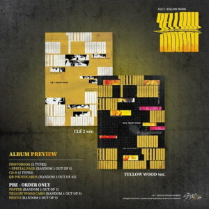 stray kids cle 2 yellow wood album order in india only on albumnest
