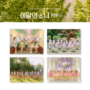 loona albums in india