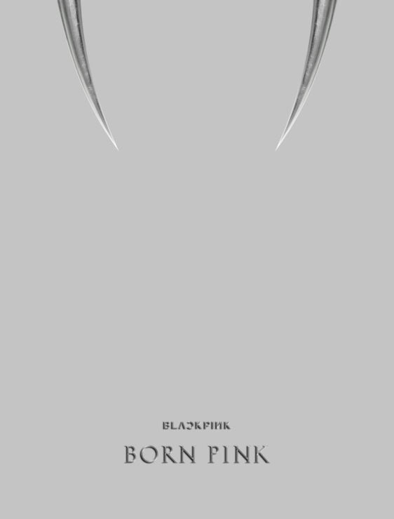 Blackpink_Born_Pink_BoxsetCover_Gray